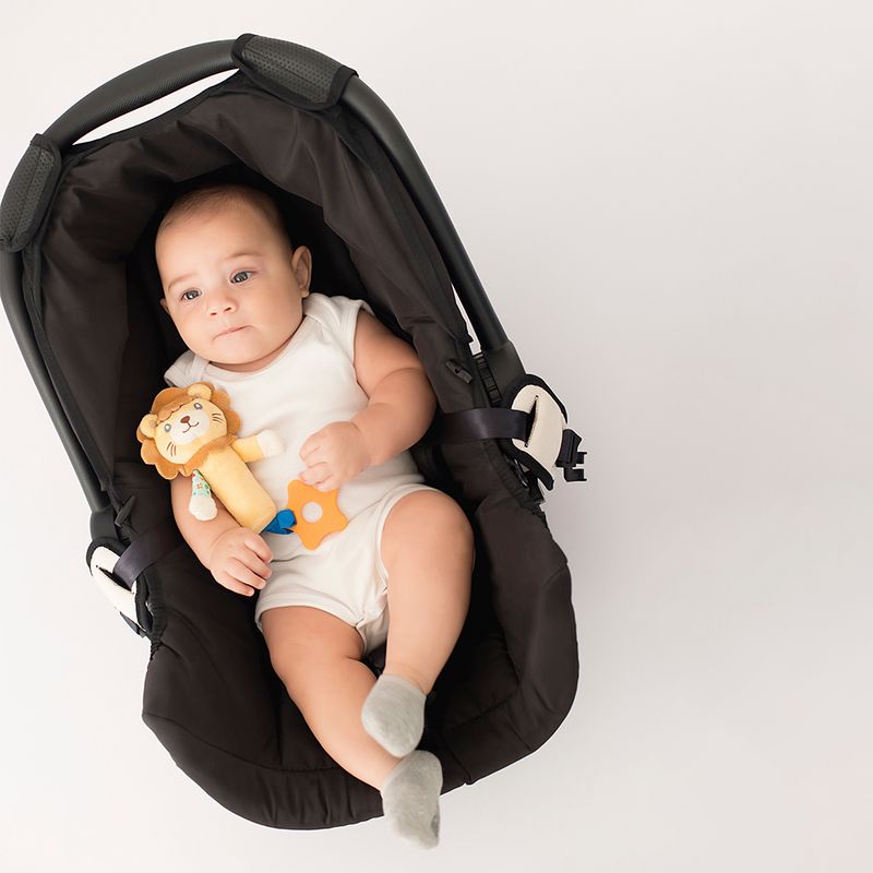 pelucia-com-buzina-leao-masculino-pimpolho-300540_1_ensaio_1.jpg