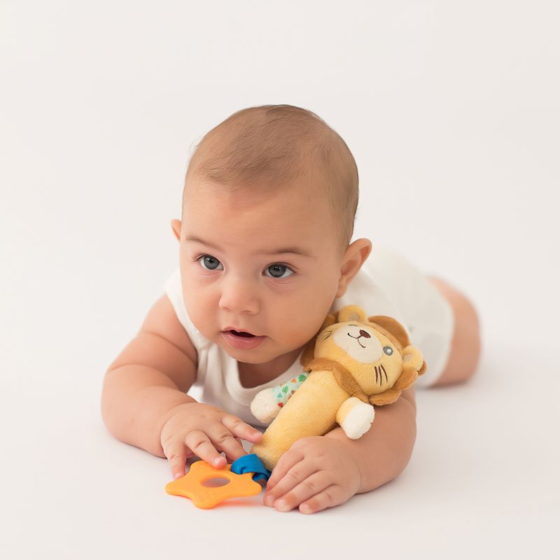 pelucia-com-buzina-leao-masculino-pimpolho-300540_ensaio_3.jpg