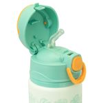 garrafa-de-aluminio-500ml-leao-masculino-pimpolho-300782_1_2.jpg
