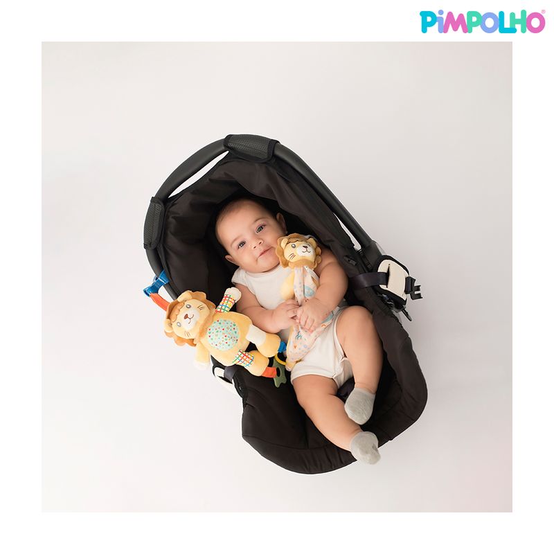 mobile-pelucia-leao-masculino-pimpolho-300538_300158_3_ensaio_1_logo.jpg